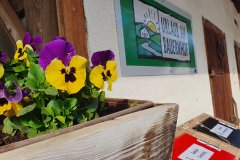 Willkommen am Miniponyhof Wild in der Steiermark, Urlaub am Bauernhof, Farmholidays