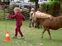 Ponyparcours