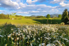 Unser Wanderweg - die Wild Wiesen Runde